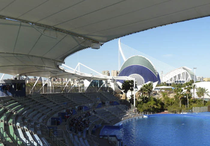 海洋水族馆与ionic系列音柱扬声器